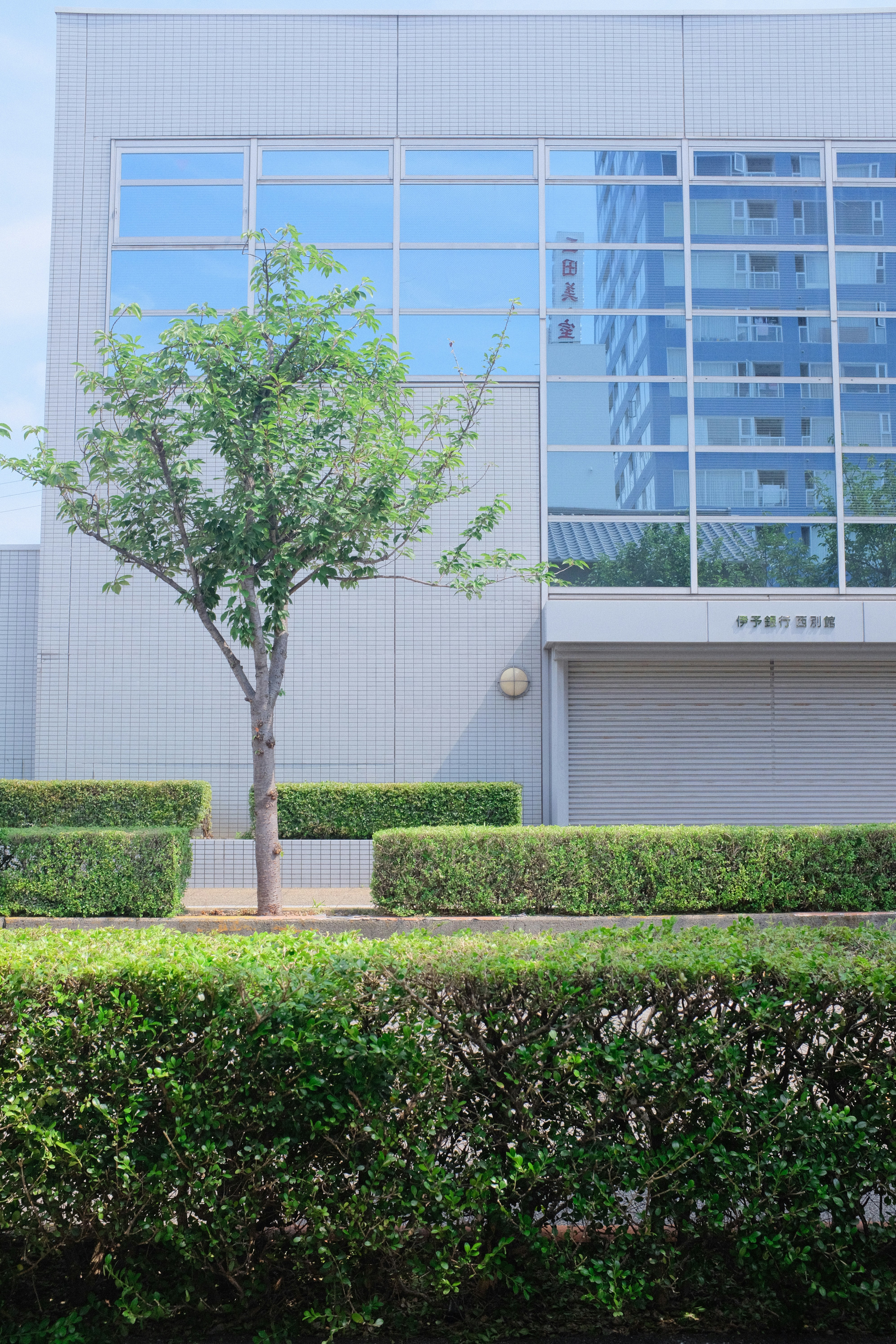 MF LAWN AND SERVICE LLC's image