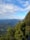green trees on mountain under white clouds during daytime