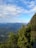 green trees on mountain under white clouds during daytime