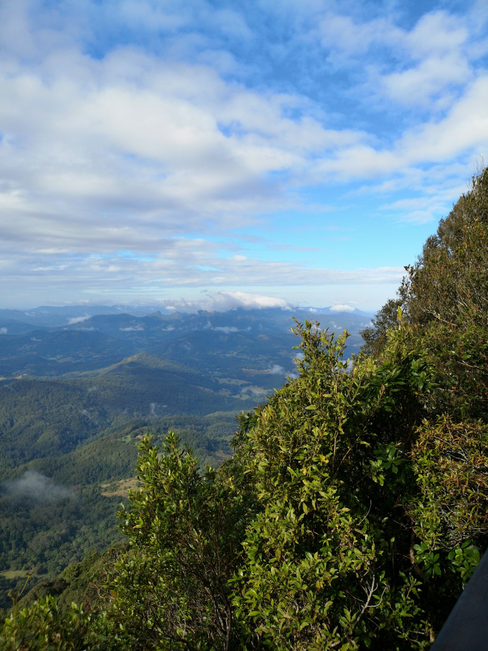 green trees on mountain under white clouds during daytime