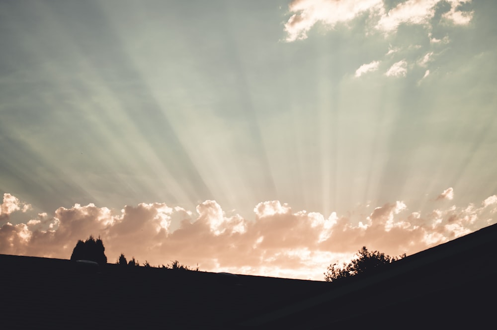 Silhouette von Bäumen unter blauem Himmel tagsüber