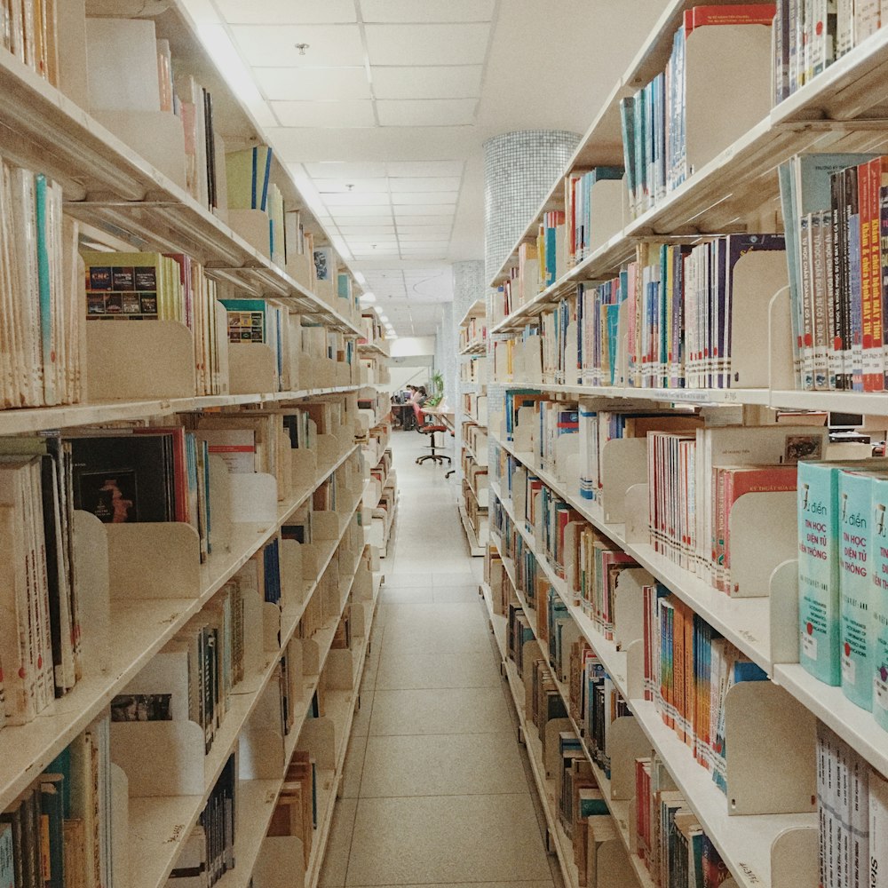 white wooden shelves with books