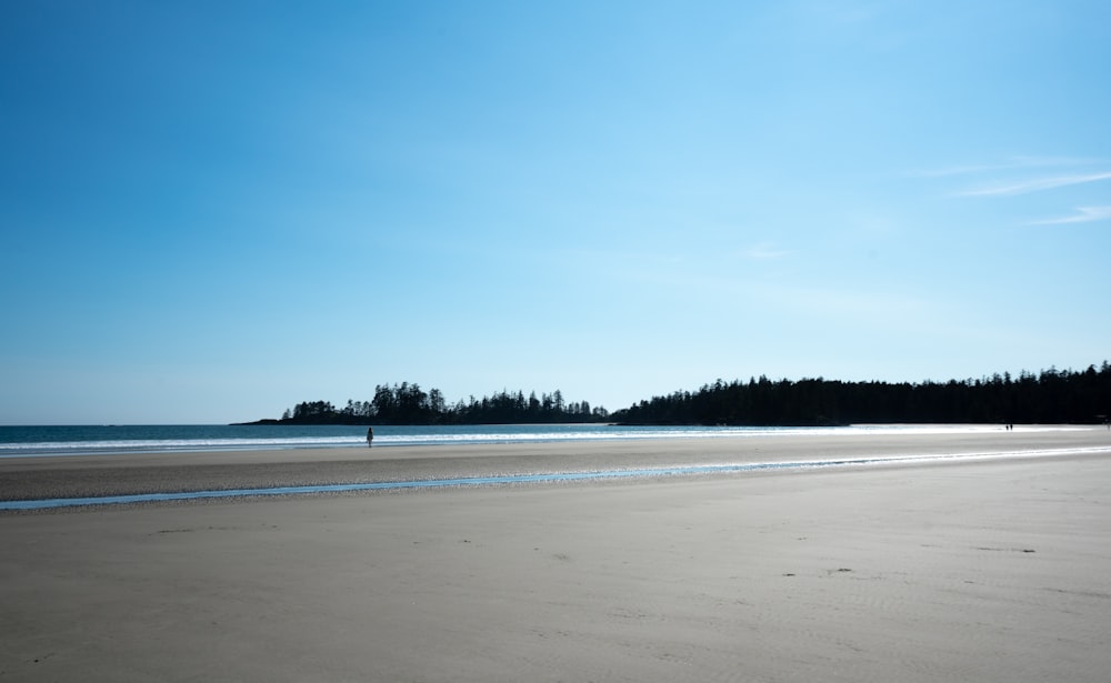 white sand beach during daytime