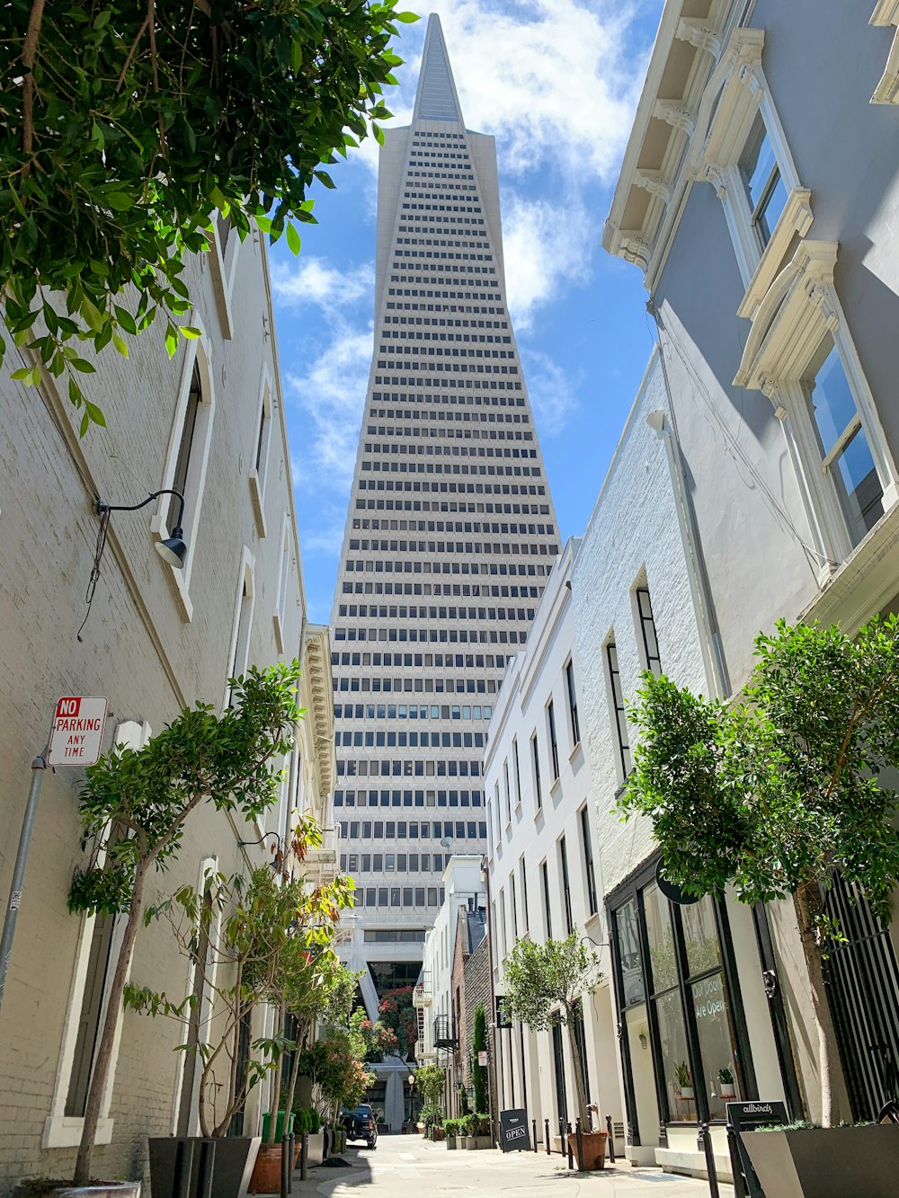 white and gray concrete building