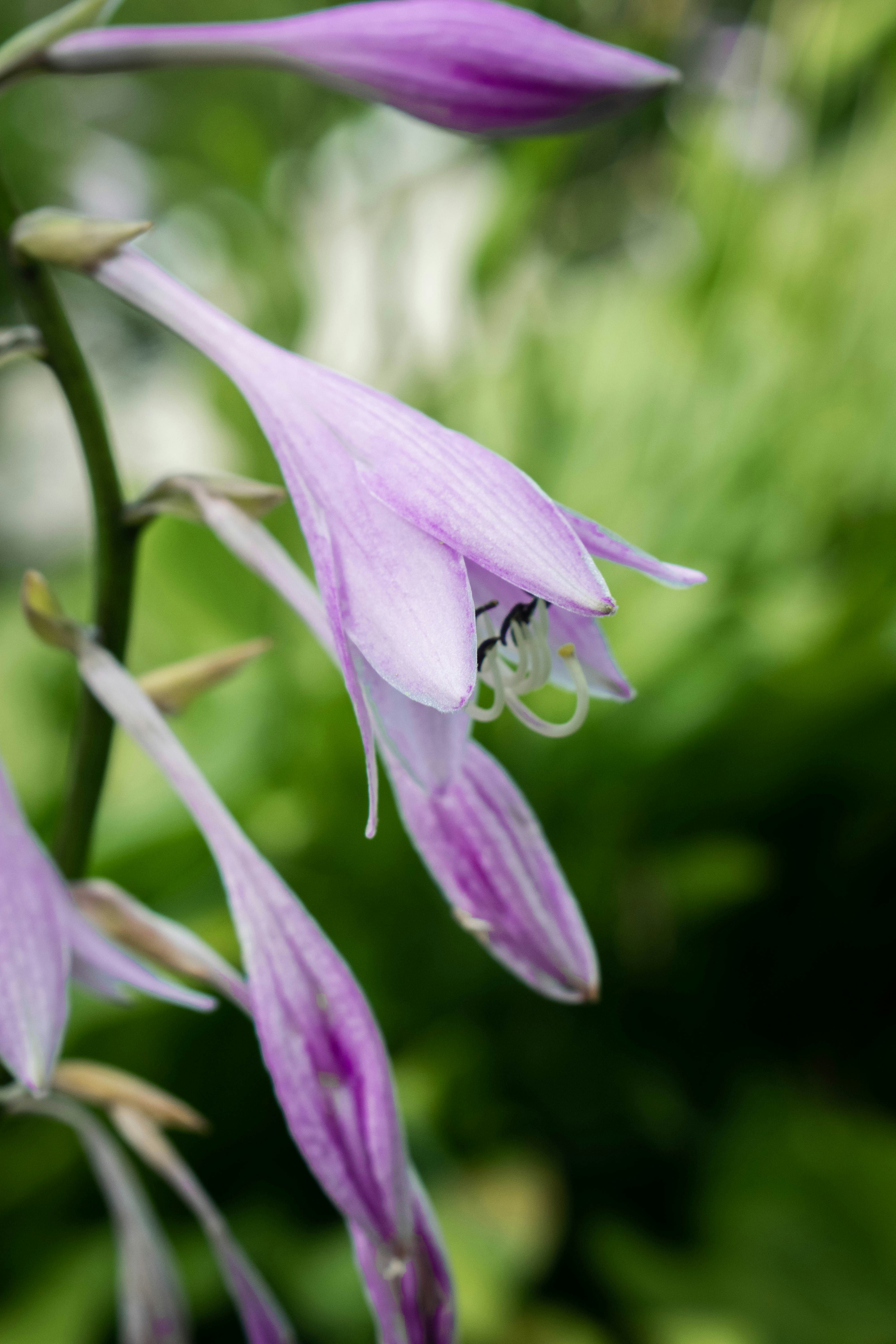 Photo by jey_photography