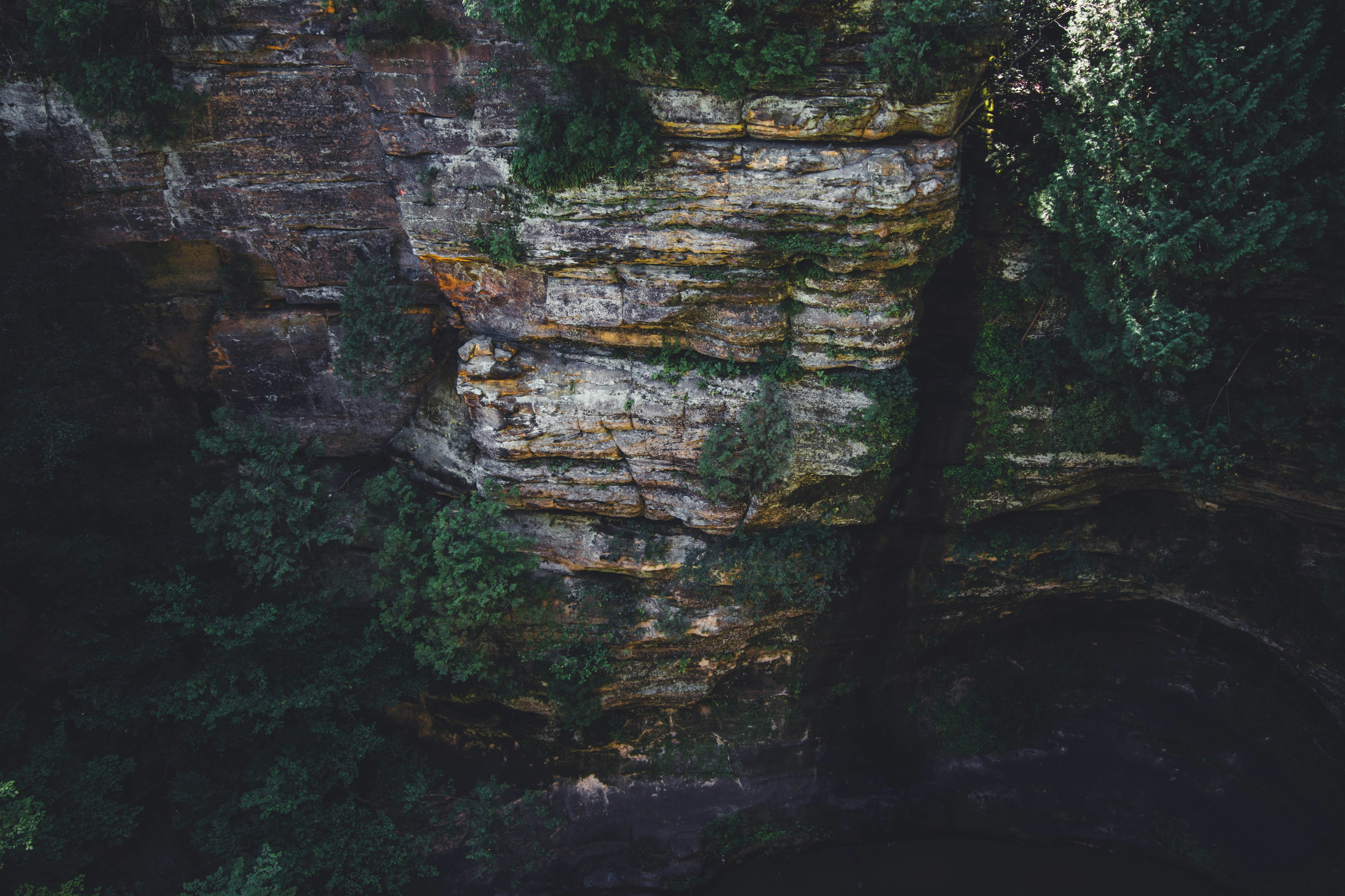 Cliff face surrounded by trees at Starved Rock