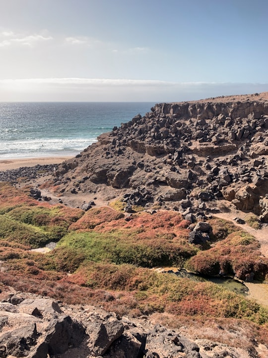 brown and green mountain beside sea during daytime in Fuerteventura Spain