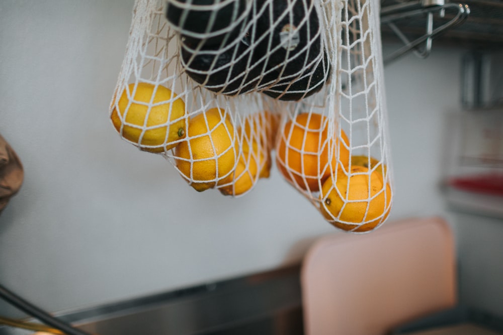 yellow and black bird in white metal cage