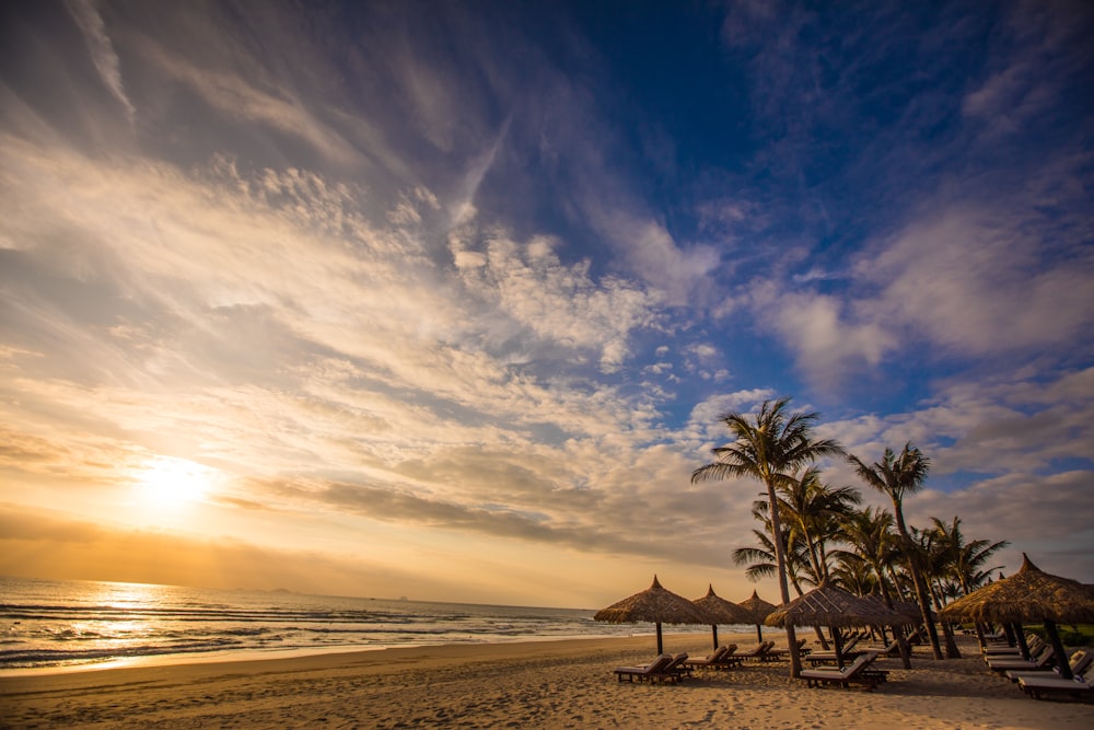 palm trees on beach during sunset