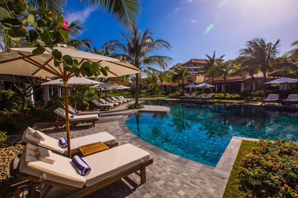 white and brown lounge chairs beside swimming pool during daytime