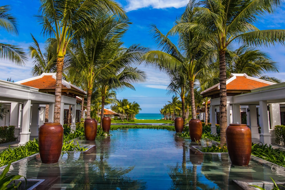 palm tree near swimming pool during daytime