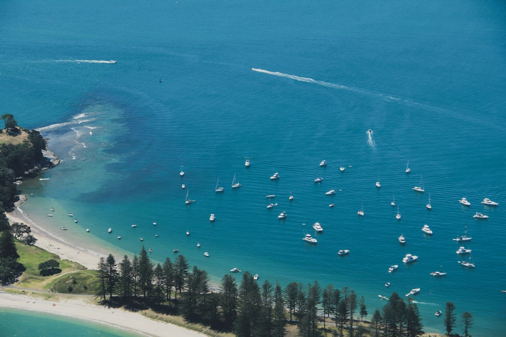 aerial view of boats on sea during daytime