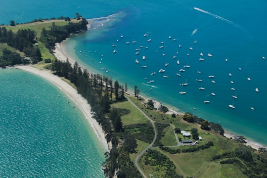 aerial view of beach during daytime in Aotea Island New Zealand