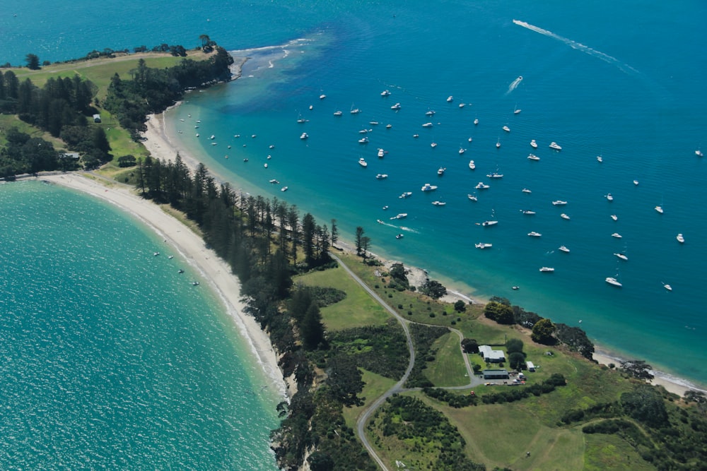 aerial view of beach during daytime