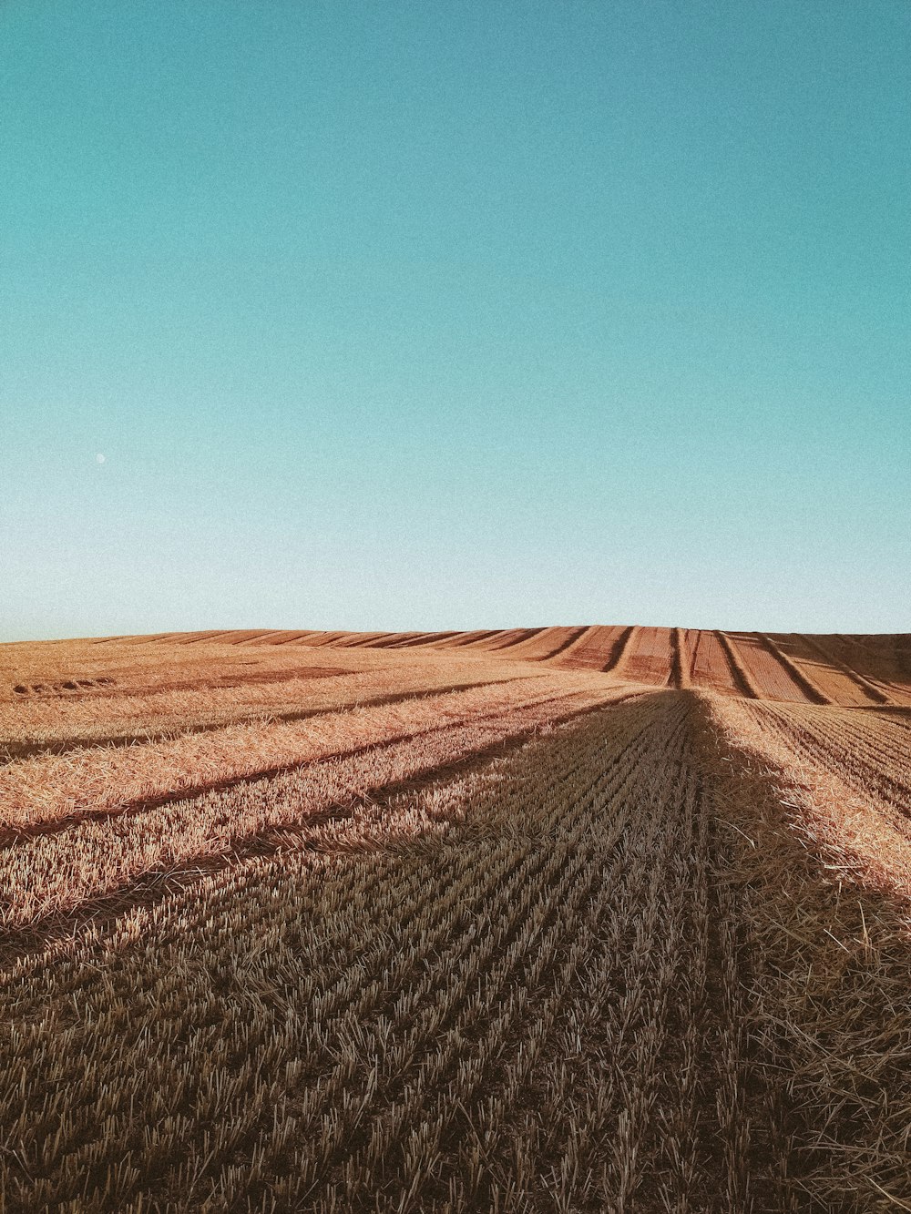 Campo marrón bajo el cielo azul durante el día