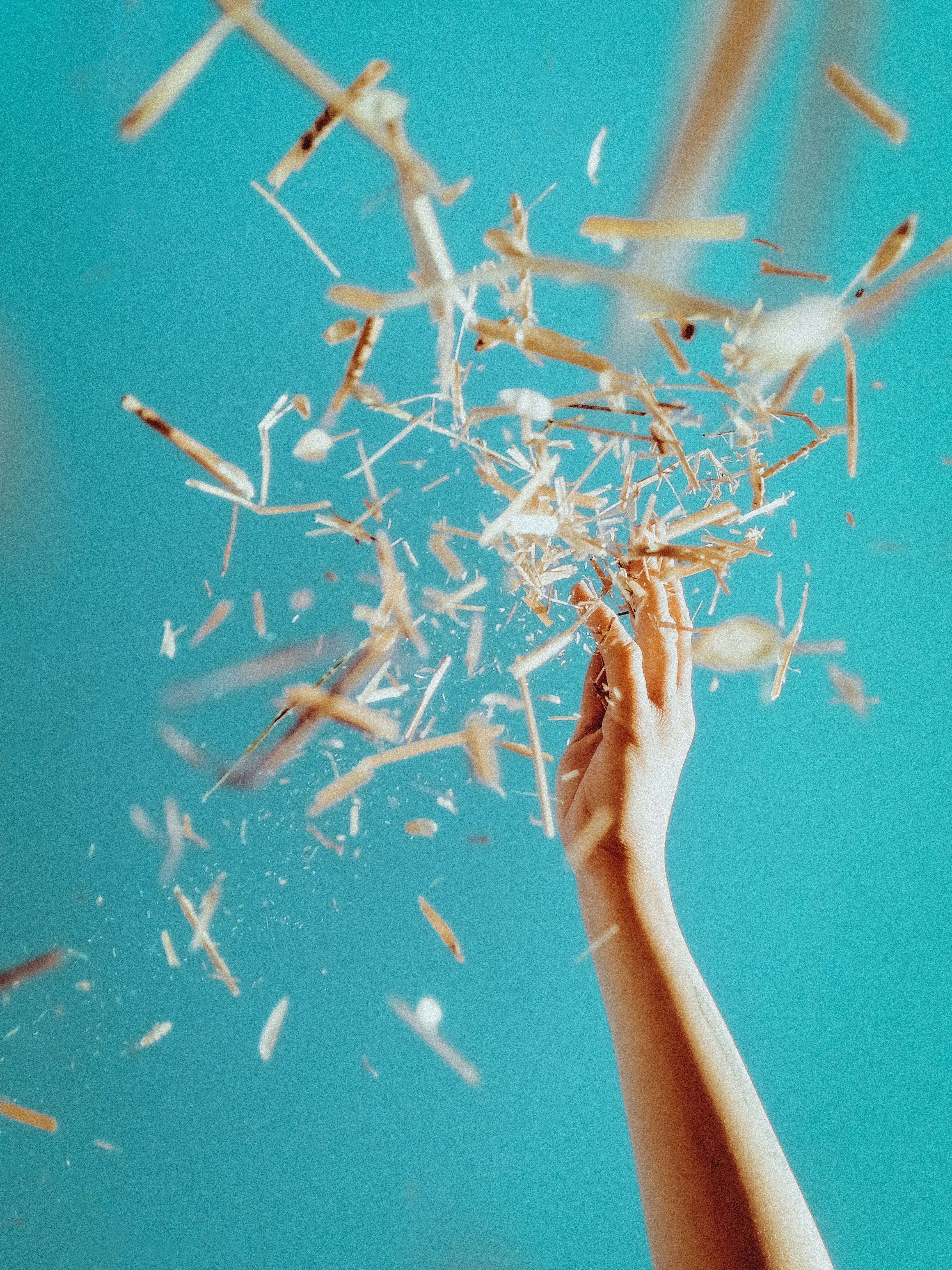 Photo by sindy_suessengut