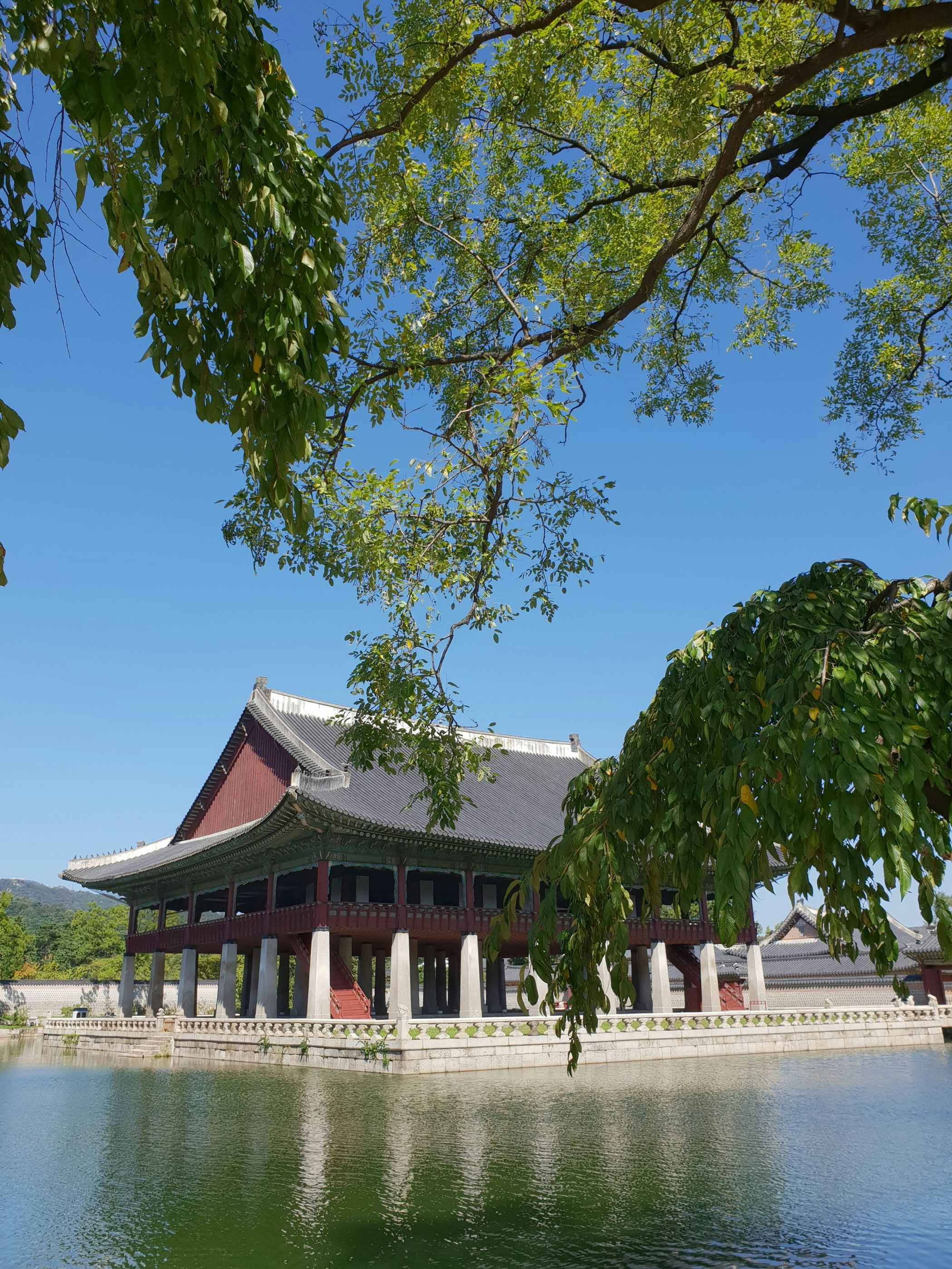 Photo by potatolover