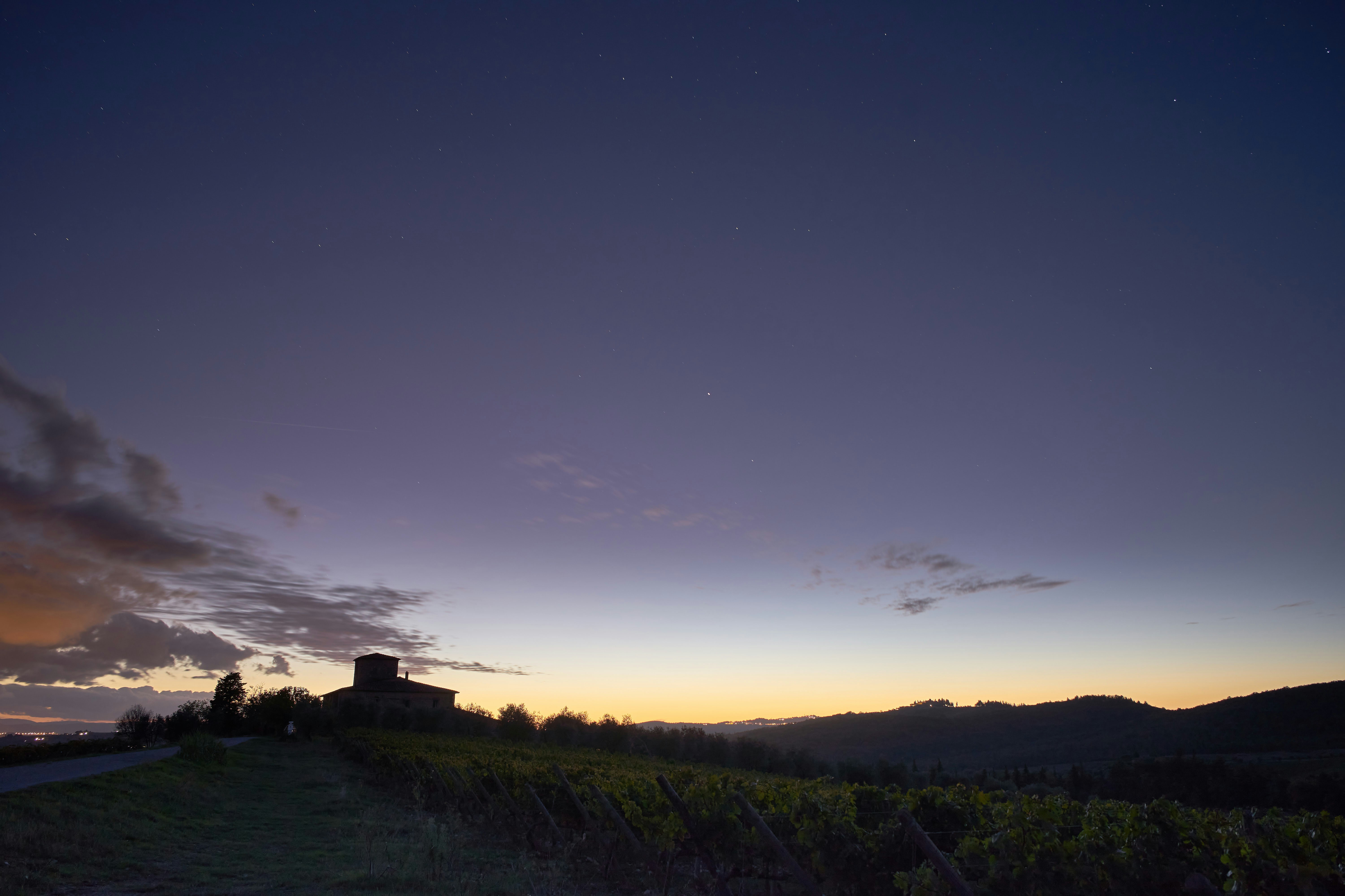 Photo by wolfgang_hasselmann