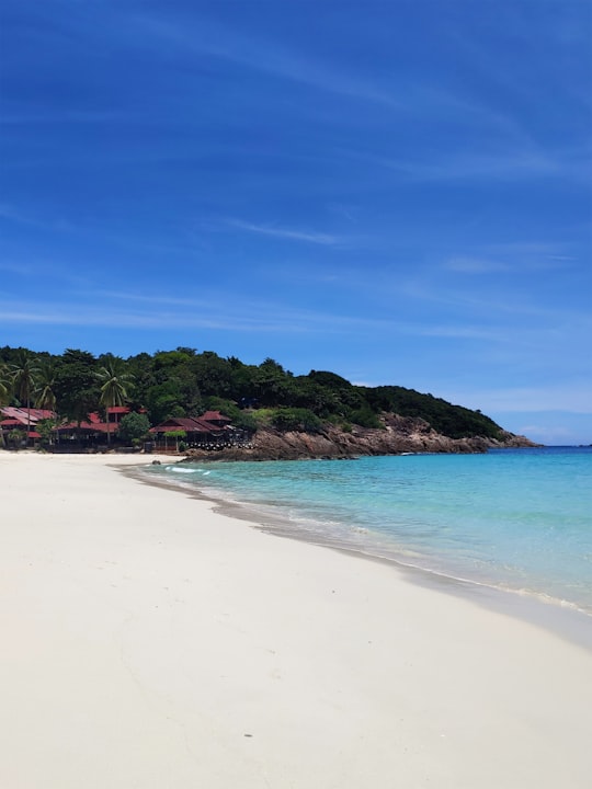 green trees on brown sand beach during daytime in Redang Island Malaysia