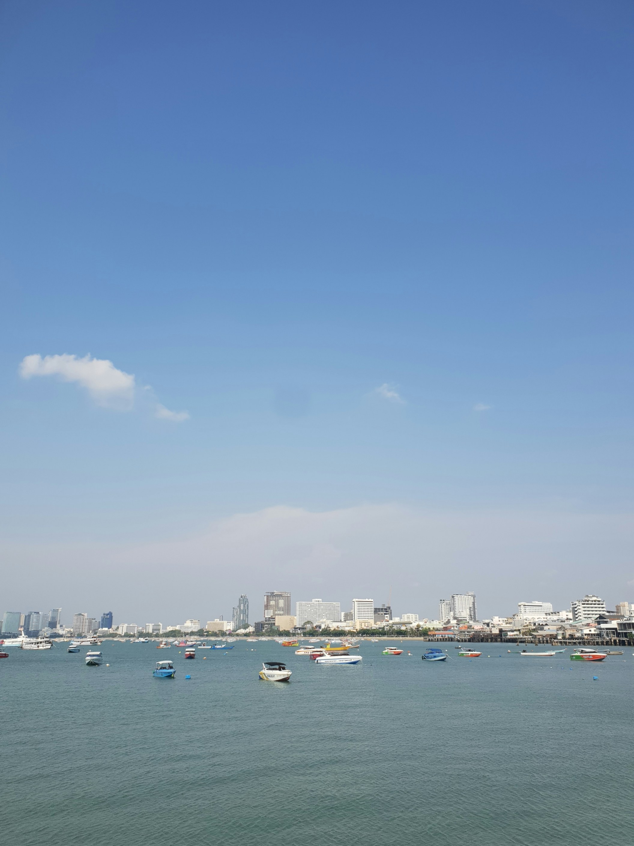 Photo by potatolover