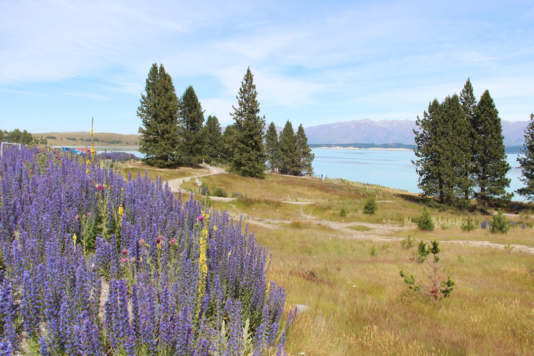 Nature reserve photo spot Queenstown Arrowtown