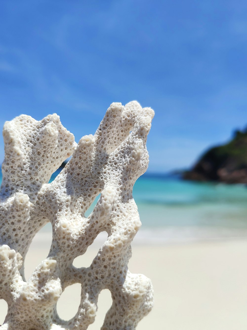 Glace blanche sur sable blanc pendant la journée