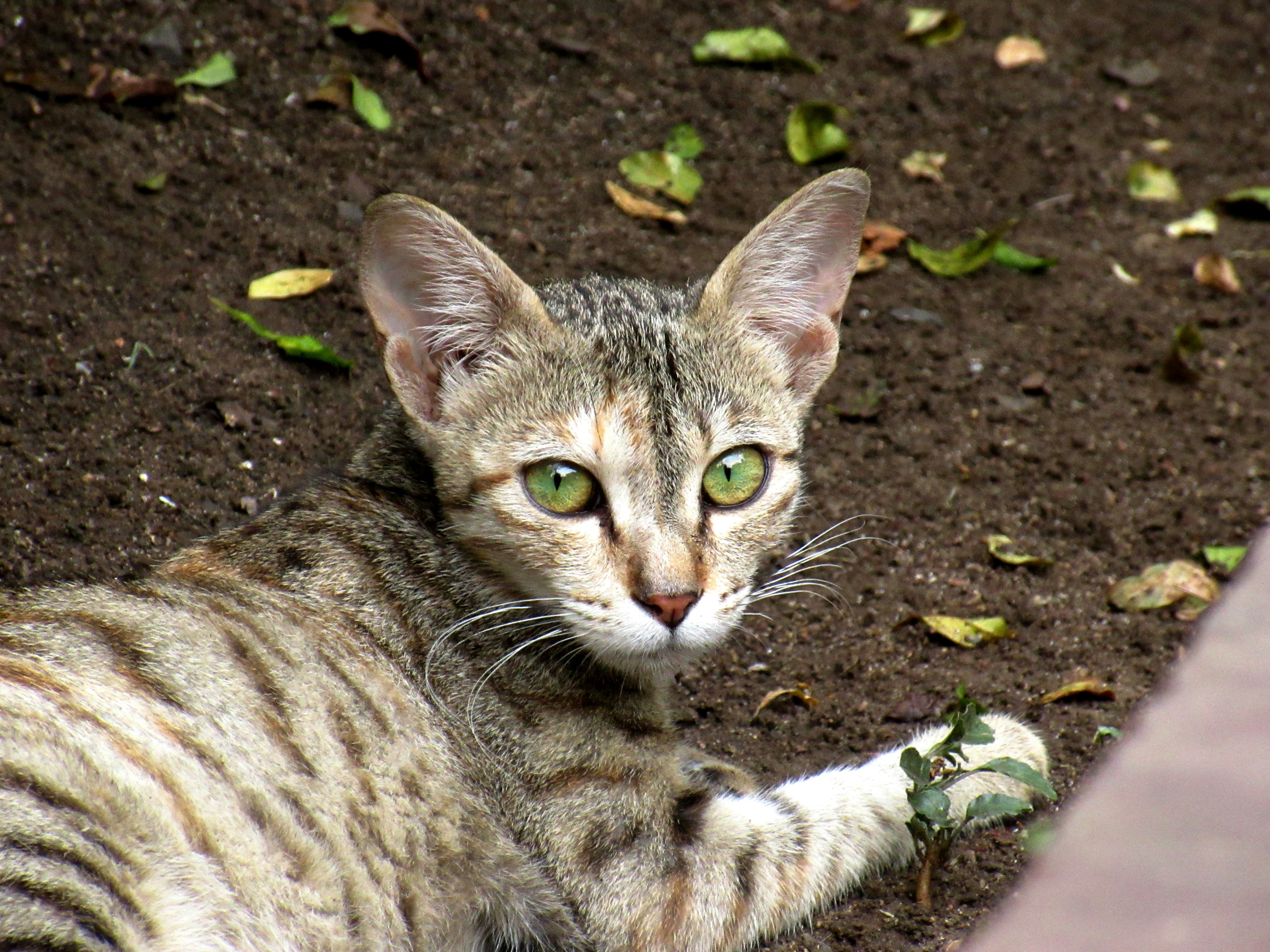 Photo by kanupriyavyas