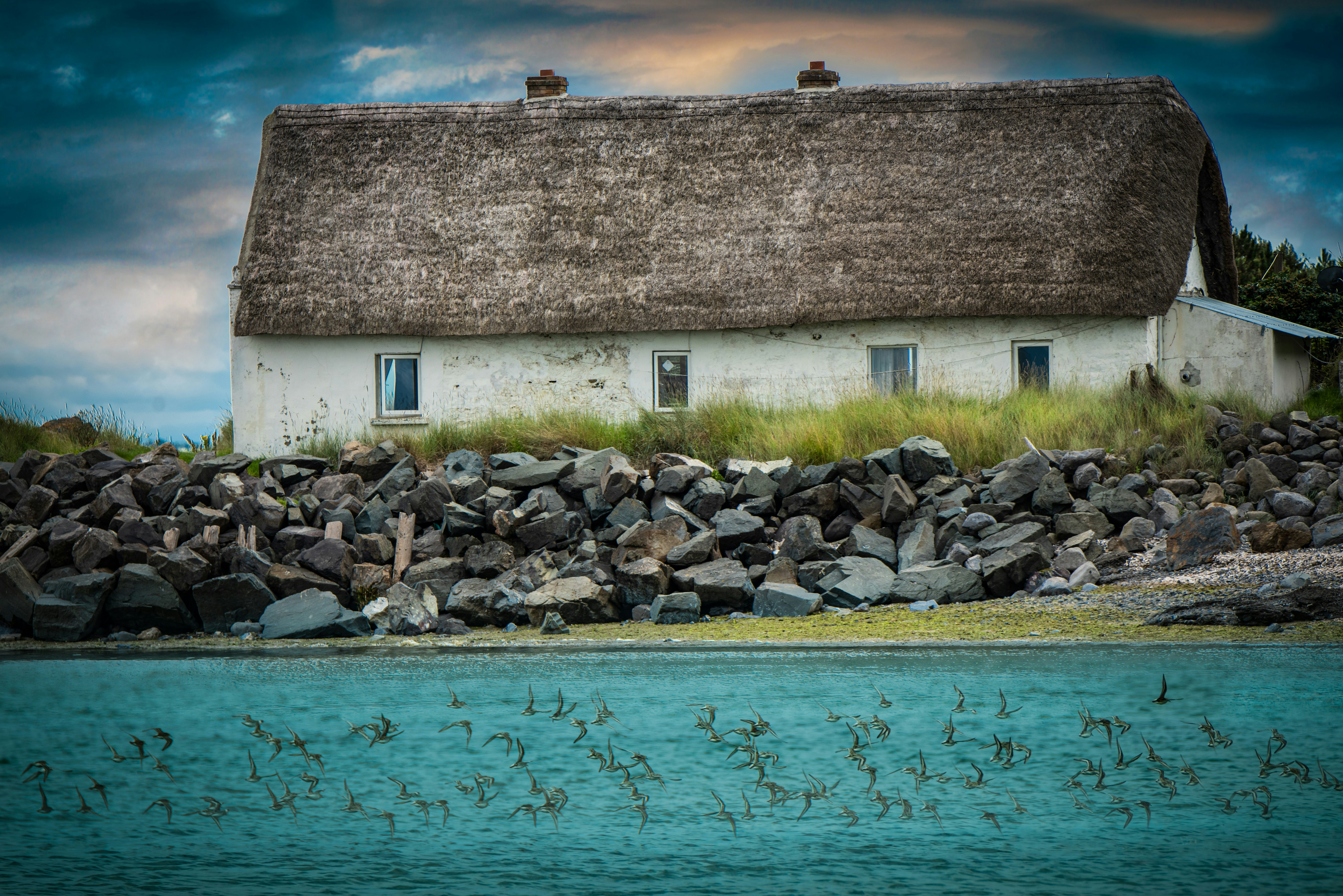 Braunes und Weißes Haus in der Nähe des Gewässers tagsüber