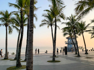 Palm trees gently swaying along the promenade with classic French Riviera cafés in the background.