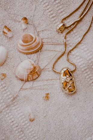 Several seashells and a gold necklace are laid out on a textured beige fabric. The shells have a natural, earthy tone with various shades of brown and white. The necklace features a shiny, golden pendant with intricate details.