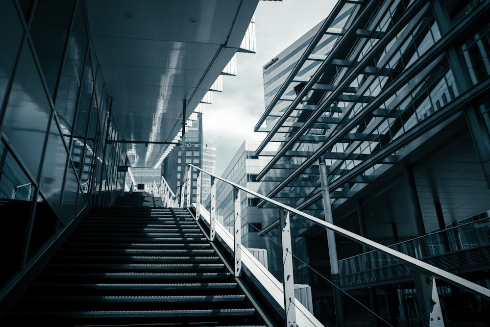 black and white staircase in a building