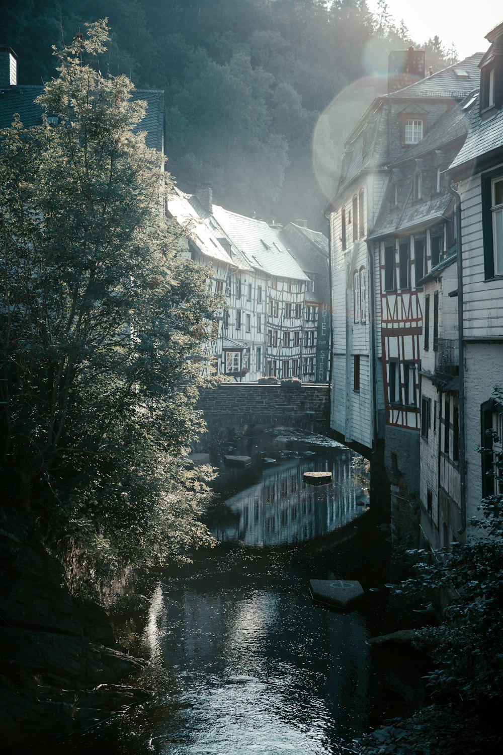 river between trees and houses