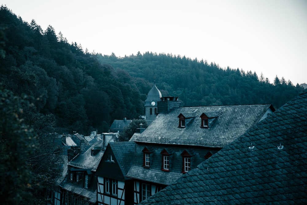 houses near green trees during daytime