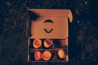A cardboard carton containing several broken eggshells resting on a bed of straw. The carton is open and positioned against a dark, textured background, suggesting a rustic or organic setting.