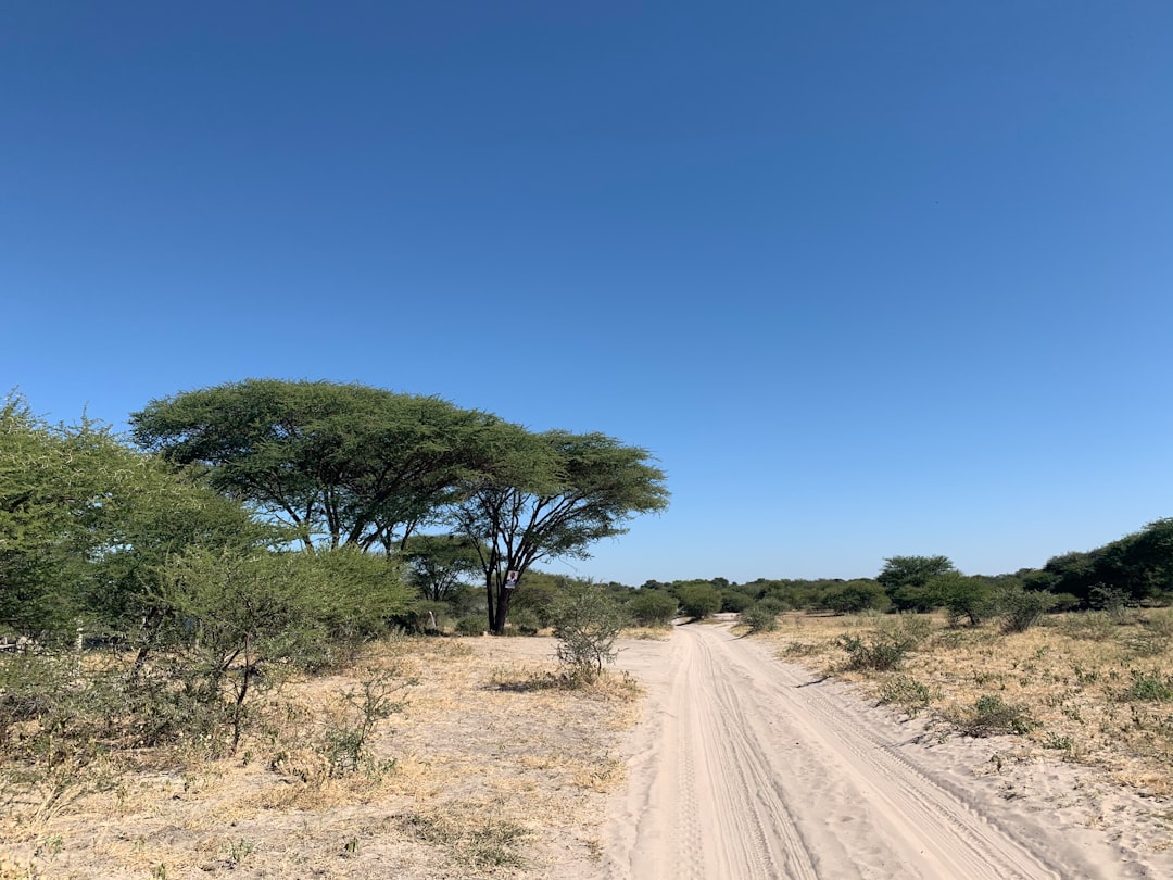 Plain photo spot Chobe Botswana