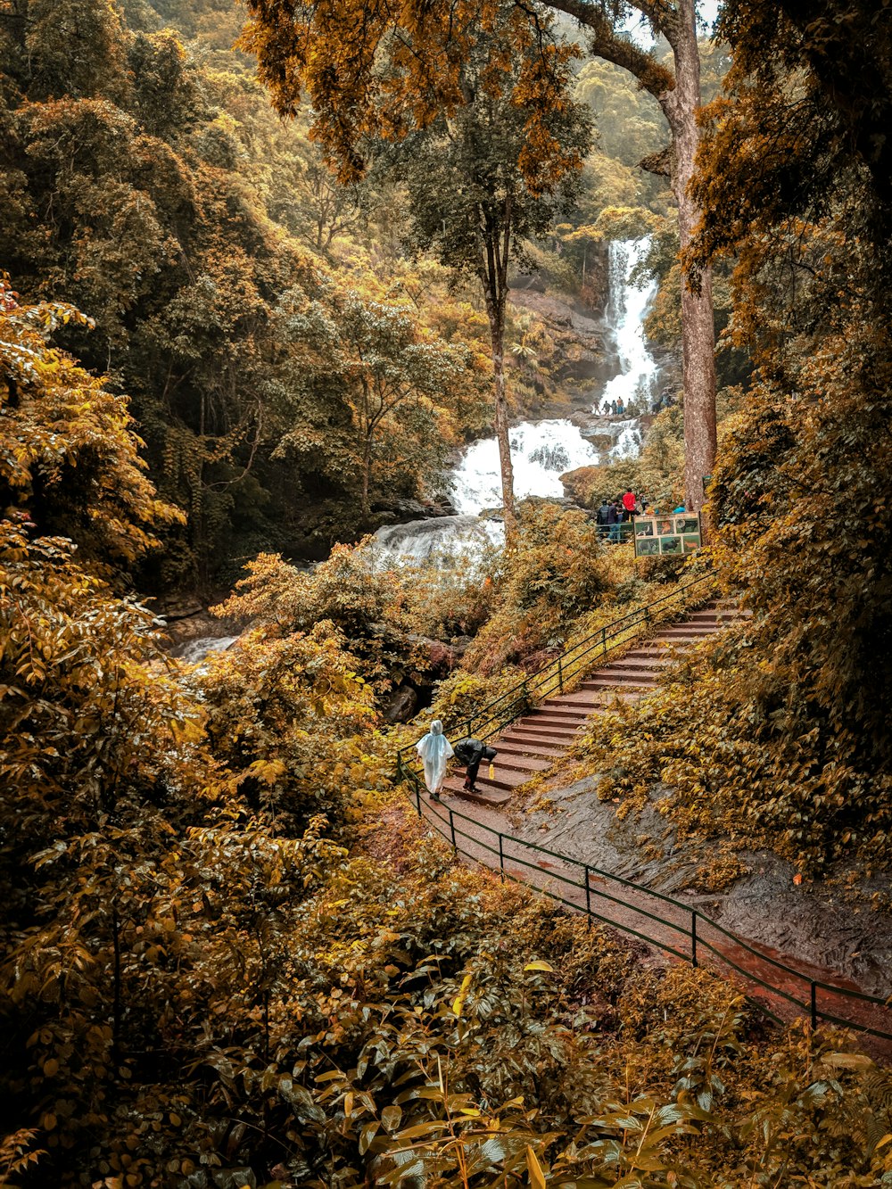 brown wooden bridge in the forest during daytime