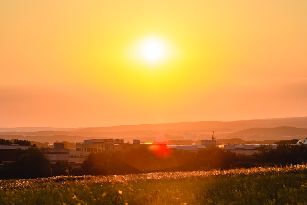 green grass field during sunset