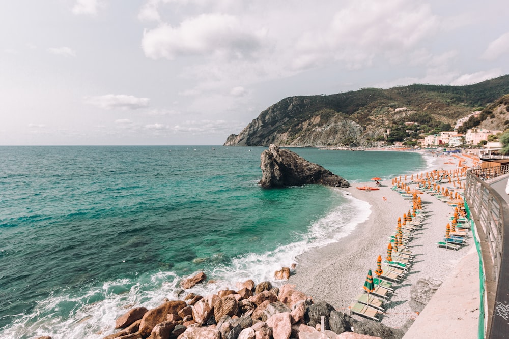 people on beach during daytime