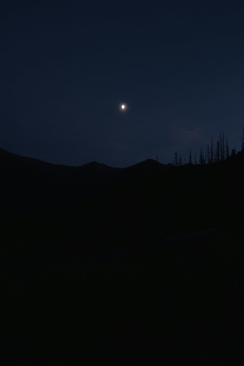 Une pleine lune est vue dans le ciel au-dessus d’une forêt