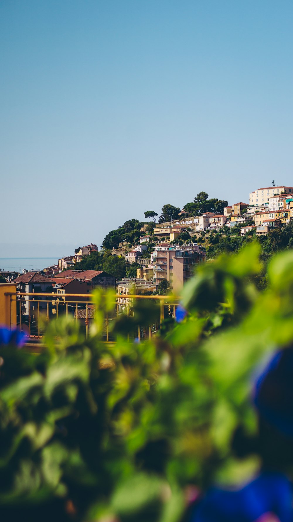 city with high rise buildings during daytime