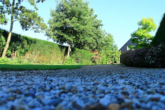 A serene garden path winding through trimmed hedges and flowering shrubs.