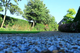 A serene garden path lined with blooming plants and neatly trimmed hedges.