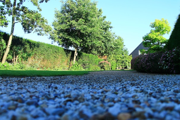 A serene backyard with a winding stone path surrounded by well-maintained shrubs and plants.