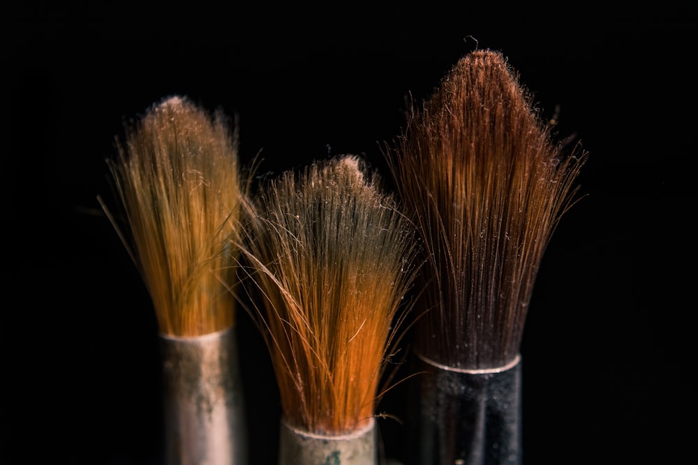 Paint Brushes Pictures  Download Free Images on Unsplash