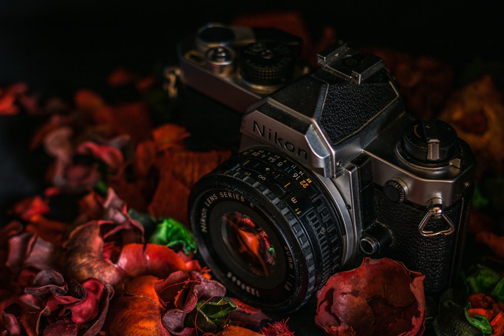 a camera sitting on top of a pile of leaves