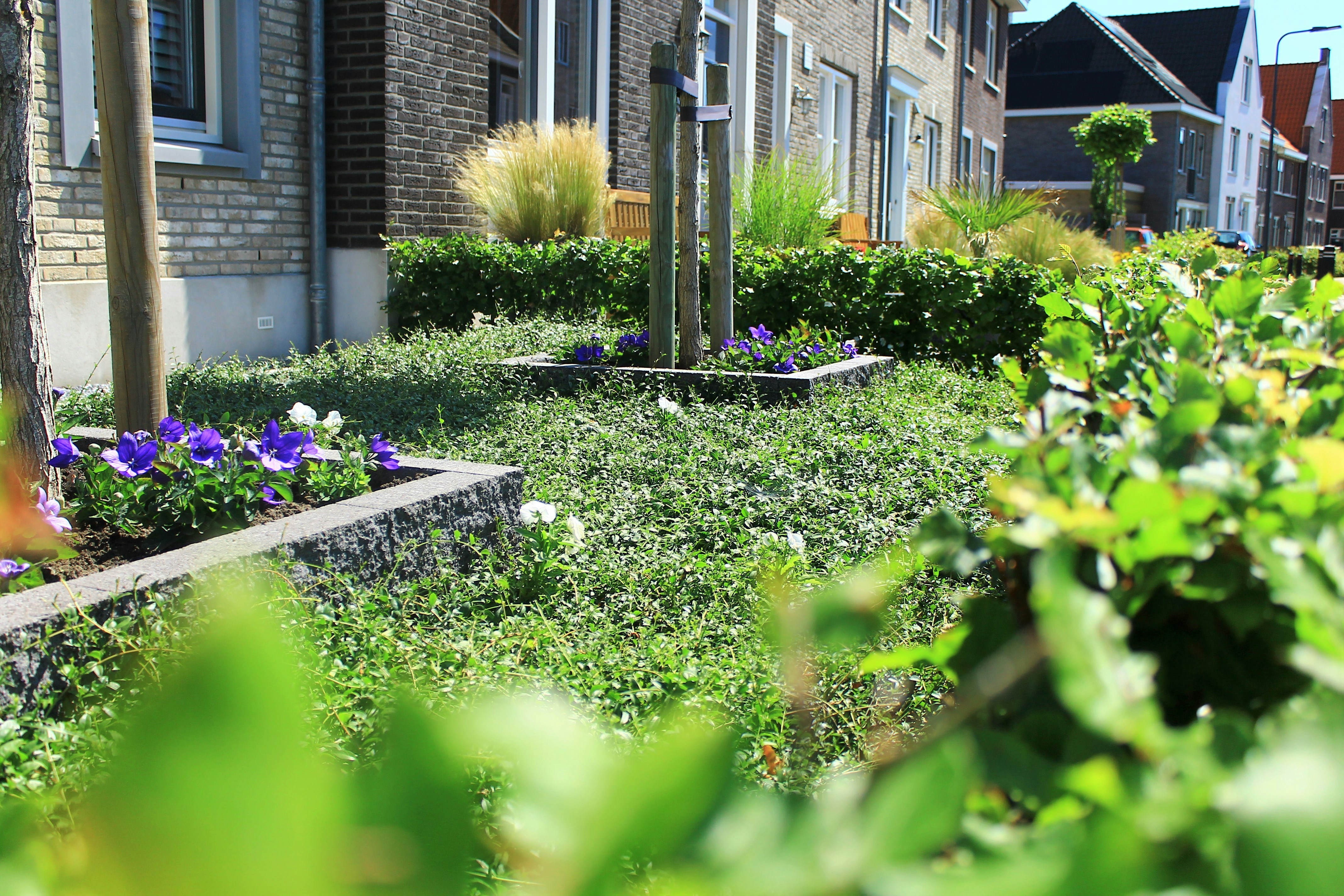 Photo by sarah_boertje