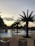 A serene sunset over a luxurious resort pool surrounded by palm trees.