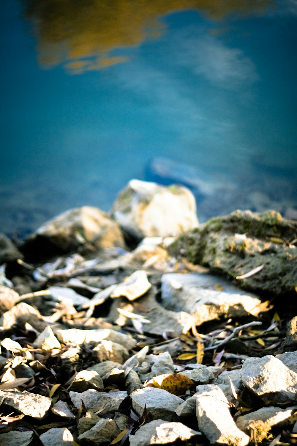 white and gray stones near blue water