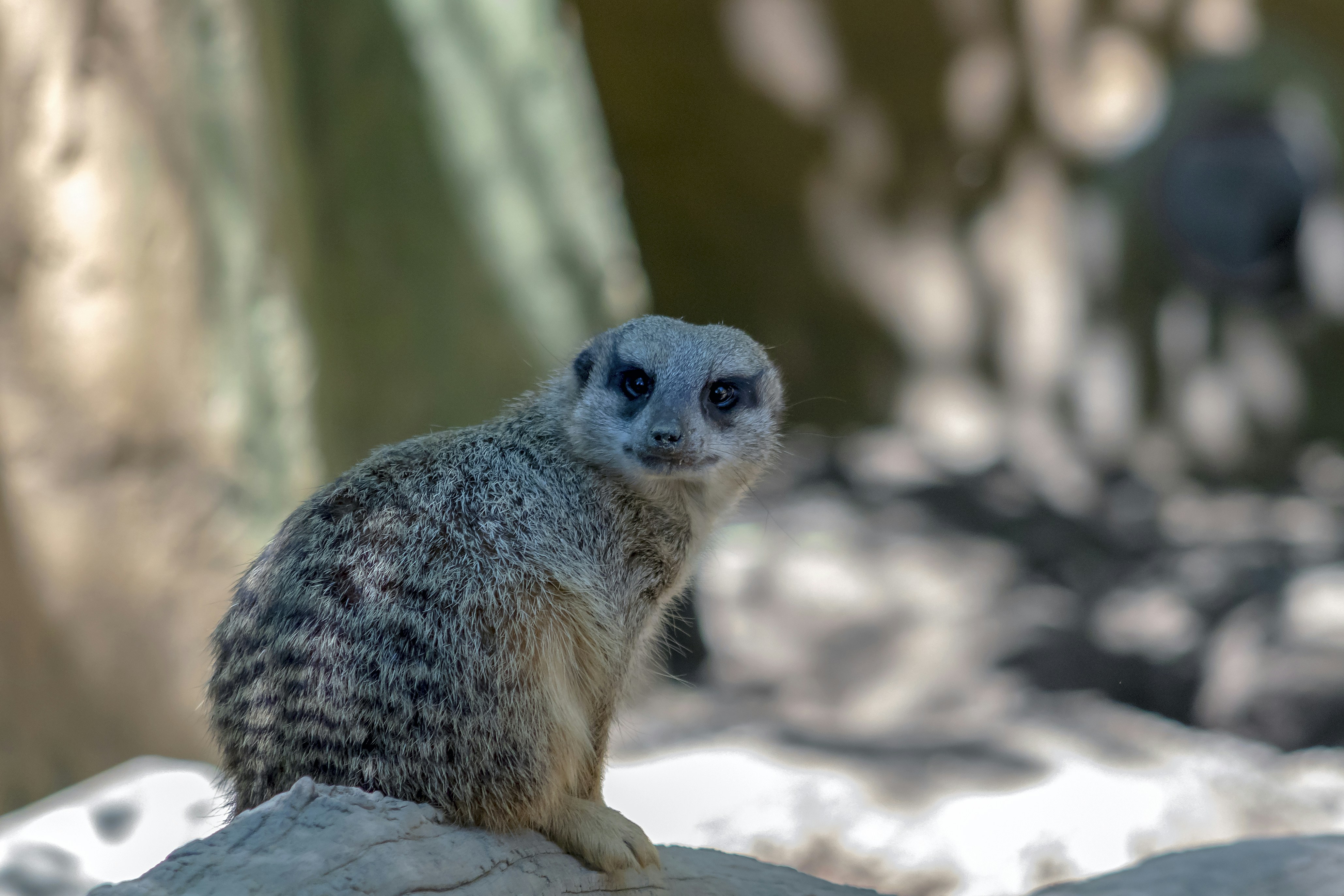 Pécs – Geography & Spatial Structure