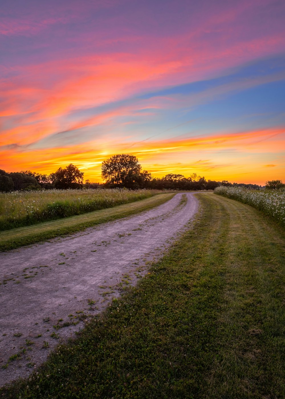 campo di erba verde durante il tramonto